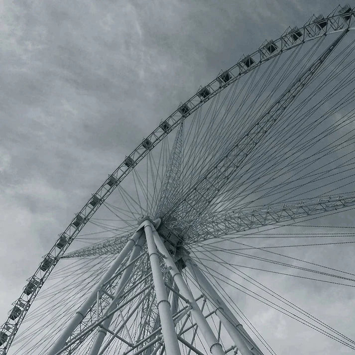 CHUZHAO Fotocamera Digitale Retro in Stile TLR